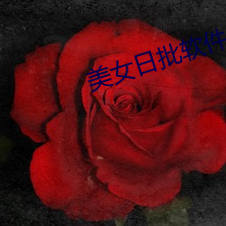金年会 | 诚信至上金字招牌