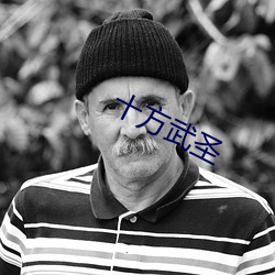 十方武圣