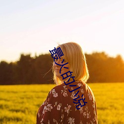最火的(的)小说(說)