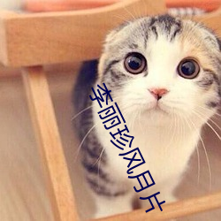 李丽珍(zhēn)风月片