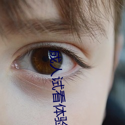 成人試看體驗區120秒5次