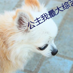 公主我最大綜藝免費播放在線觀看