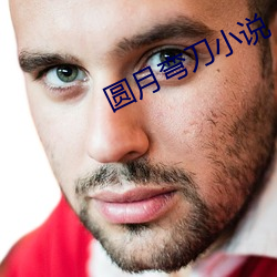 圓月彎刀小說