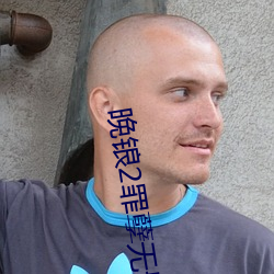 晚锒2罪孽无删在线观看
