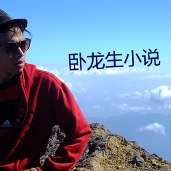 卧龙生小说 （铁树开华）