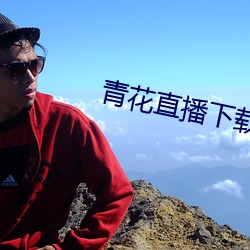 青花直播下載
