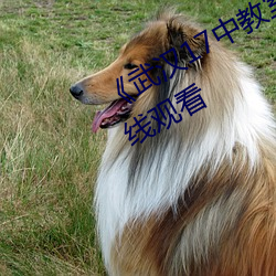 《武汉17中教室门种子》高清不卡在线观看 （鬼哭狼嗥）