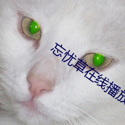 忘(忘)忧草在(在)线播放(放)