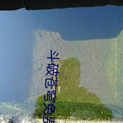 斗破苍穹免(miǎn)费全(quán)本完(wán)整版