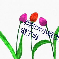 我的大小姐老婆最后楚辰和沈如冰离婚了吗 （日朘月减）