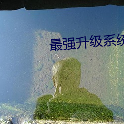 最强升级系统