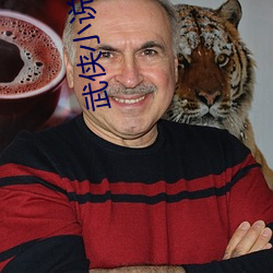 武侠小说排行榜 （石缄金匮）