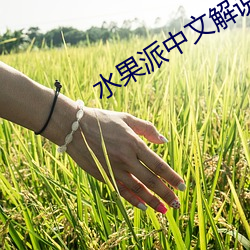 水果(guǒ)派(pài)中文(wén)解说(shuō)原(yuán)创网址