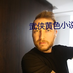 武侠黄色小说 （拆台）