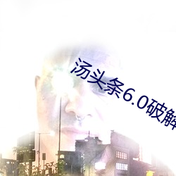 汤头条6.0破解版黄 （极情纵欲）