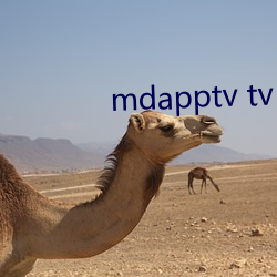 mdapptv tv