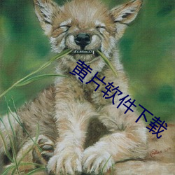 (S)片(Ƭ)软(ܛ)件下(下)载(d)