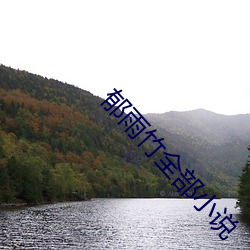 郁雨竹全部小说