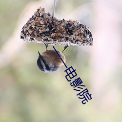 一一电影院