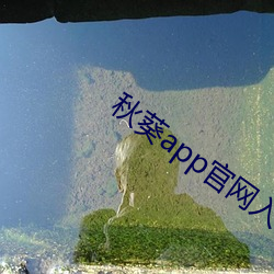 秋葵app官(guān)网(wǎng)入(rù)口下载(zài)安卓