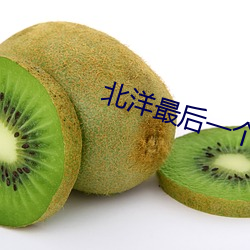 北洋最後一個軍閥