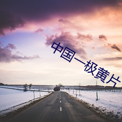 中(zhōng)国一(yī)极黄片