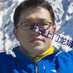 叶辰上门(門)龙(龍)婿免(免)费全(全)文阅读完整版