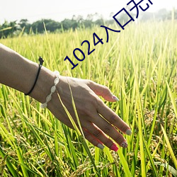 1024入口无内鬼入口