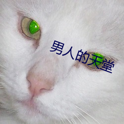 金年会 | 诚信至上金字招牌