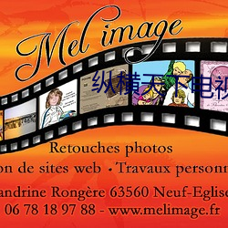 纵横天下电视剧