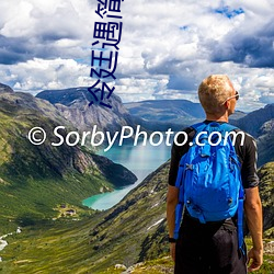 冷廷遇简夏荒(荒)野做(做)