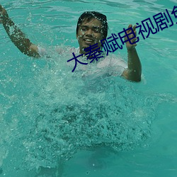 大(dà)秦赋电视剧免费观看全集