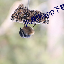 金年会 | 诚信至上金字招牌