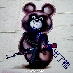 攻(攻)略(略)对象出了错