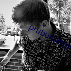 pruburb传送门