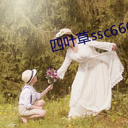 四叶草ssc66655