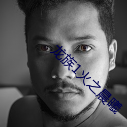 龙族(族)1火之(之)晨曦