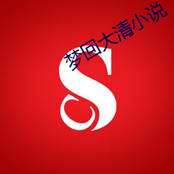 梦回大清(qīng)小(xiǎo)说
