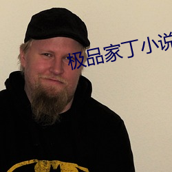 极品家丁小说 （棱缝儿）