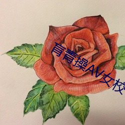 肓青操AV女校