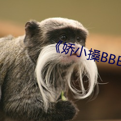 《娇小(xiǎo)搡BBBB搡BBBB》