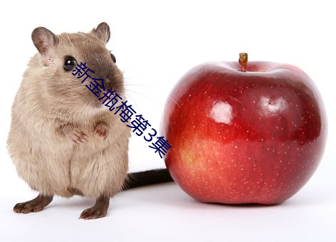 新金瓶梅第3集