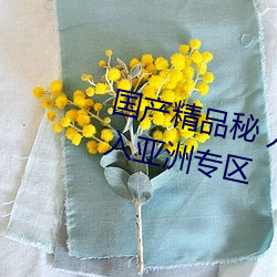 国产精品秘 入口蜜桃全新升级加入亚洲专区 （英武）