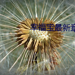 幸福宝最(最)新章(章)节免费阅读(讀)