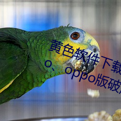 黃色軟件下載3.0.3每天無限三次vivo、oppo版破解免費遊戲