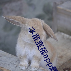 水星直播app最新版下载2021 （发炎）