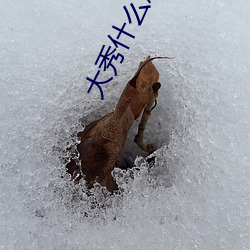 大秀什么(me)意(yì)思快手