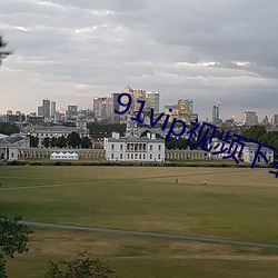 91vip视频下载大全 （鼻青眼肿）