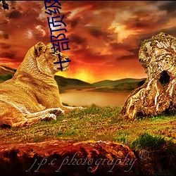 十部頂級驚豔的港片