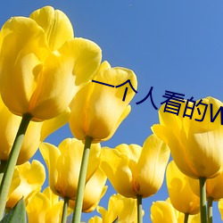 一个人看的WWW中文字幕